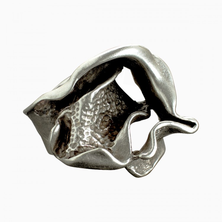 Ring ANAD, col. silver